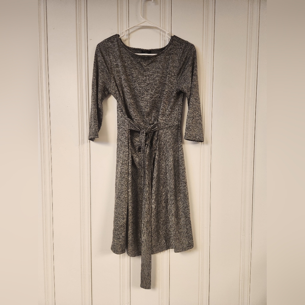 Ann Taylor Mp Elegant Gray Women's Dress